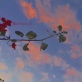 余毅 - 来不及