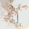 妃颜 - 红尘彼岸却无她