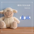 唐琳 - 不爱我放了我