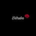 Parafies - Dilruba