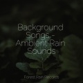 Meditation Music Experience、Trouble Sleeping Music Universe、Echoes Of Nature - Jungle Rains