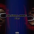 Bias - Silver Lining
