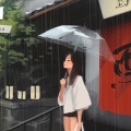 小猫头 - 把孤独当做晚餐