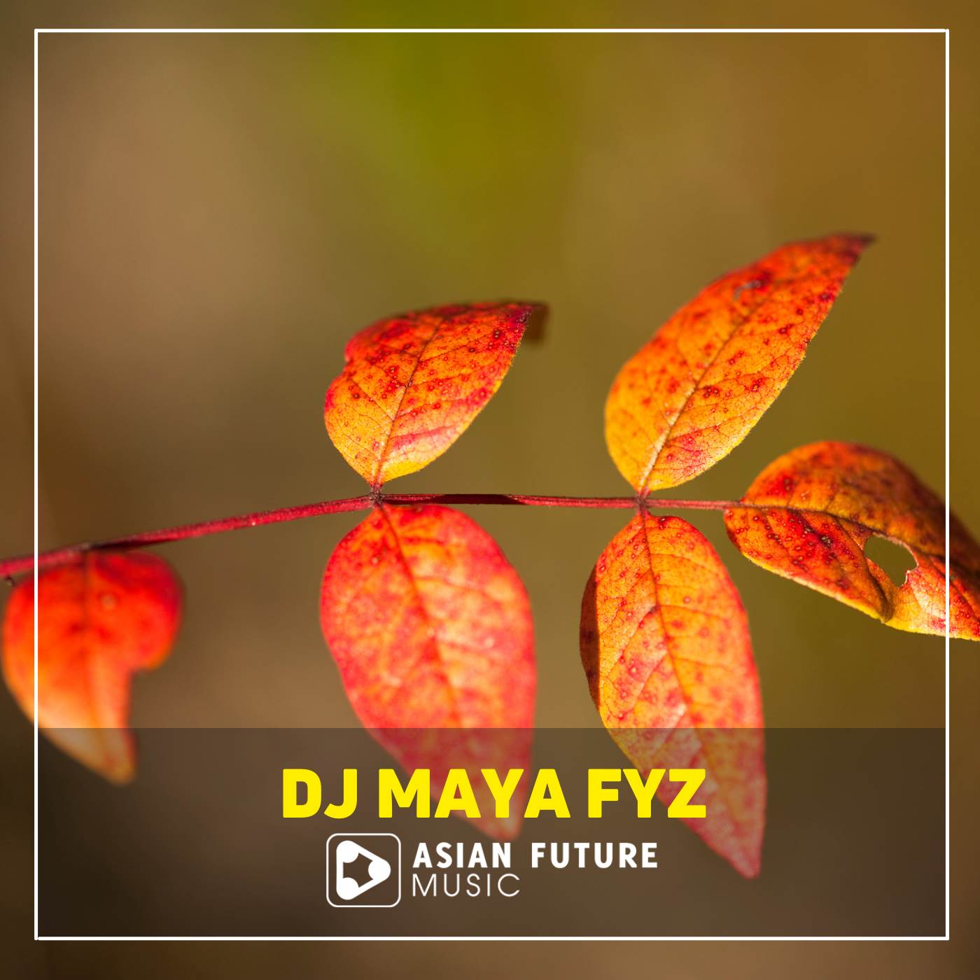 DJ MAYA FYZ - Dj Tereliye Tiktok