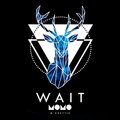 Momo Soundz - Wait