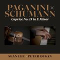 Caprice No. 15 in E-Minor (From 24 Caprices, Op. 1)