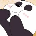 Panda - 城市逃离计划