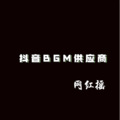 BGM供应商 - 夜车 (DJ版)