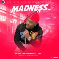 Kelvin SL、Malcolm Pisani、Samic、Nicholas - Madness (Explicit)