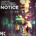 Notice (feat. Grant Dawson & Veronica Bravo)