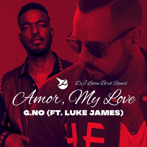 Amor, My Love (DJ Latin Bird Remix)