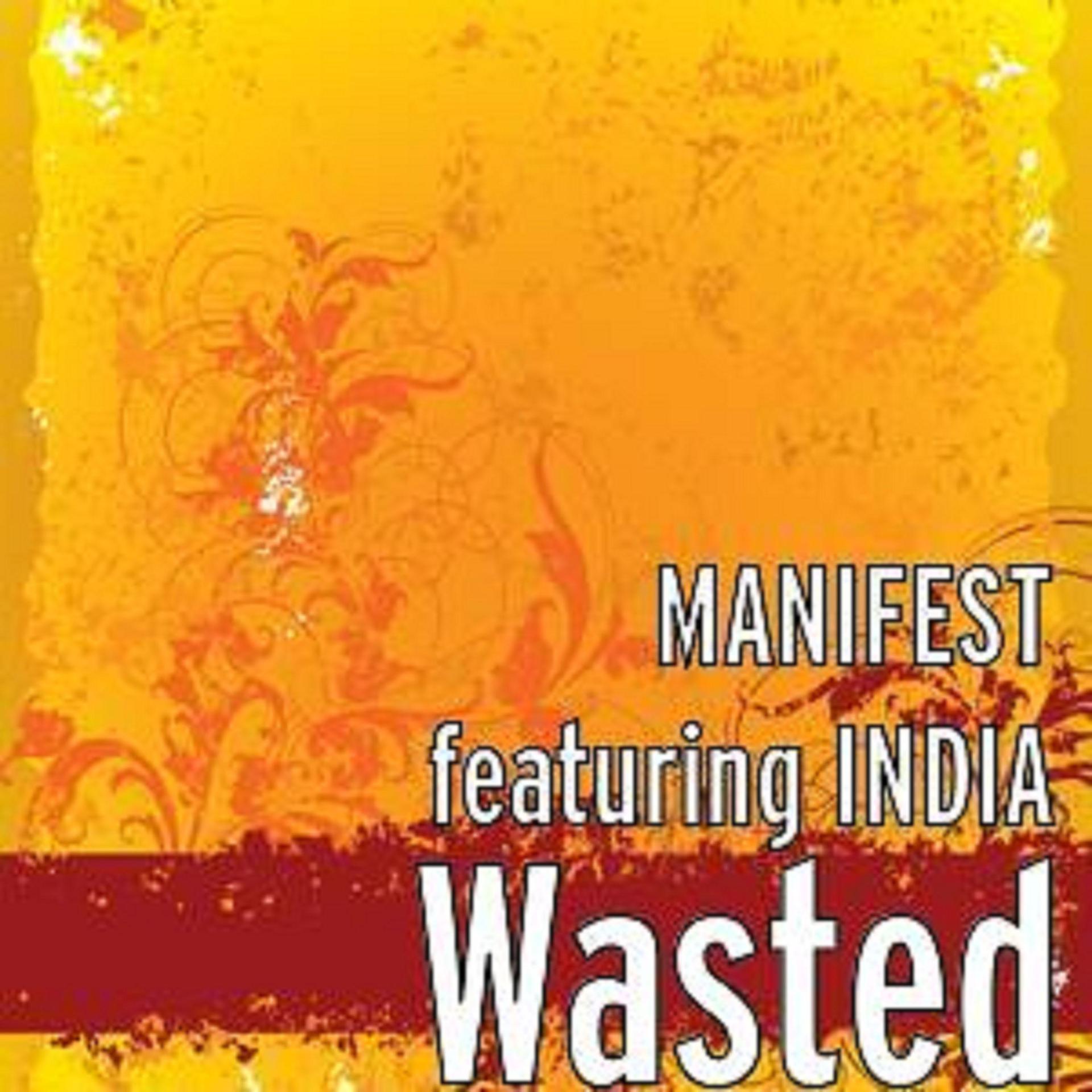 Manifest - WASTED.... (Original Mix)