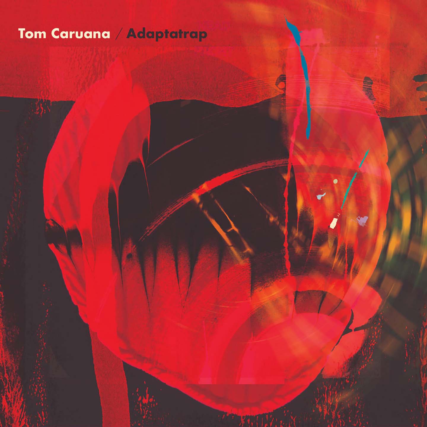 Tom Caruana、Amy Turk - Northern Lights