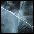 TH Moy - Under the Skin