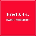 Co.、Bred - Sweet Sensation (Nu Gound Foundation Classic Cut)