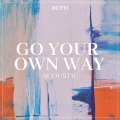 Go Your Own Way (Acoustic)