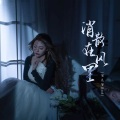 宝儿爷BoA - 消散在风里