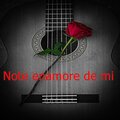 LOLO - Note enamore de mi