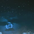 Relaxing Musk Ox - Night Chill