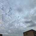 槿柒yvonne、白茶 - 起点
