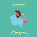 Flamingosis、Birocratic - Passing By
