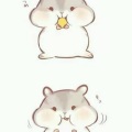 烟雨