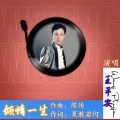 王平安 - 倾情一生