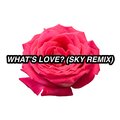 Youngan Flippa、Donald Ganim、Eva Makes Music、Sky - What's Love?