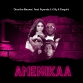 Amenikaa (feat. Killy Nyanda & Singah)