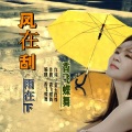 香飞蝶舞 - 风在刮雨在下