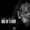 Fly Away (feat. Ryan Sullivan & Ace Boogy) [Explicit]