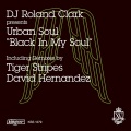 dj roland clark、urban soul - Black In My Soul (Tiger Stripes Dub Inst)