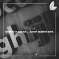 Emre Kabak、Akif Sarikaya、Satsuma Music - Type