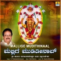 Mallige Mudithinaal