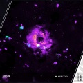 Mestie、WERECORDS - Orion