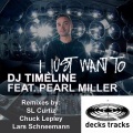 DJ Timeline - I Just Want To