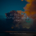 40 Beautiful Songs for Spa & Vibes