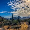 Scale、Feather - Winter In The Desert