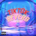 Lil Revxrb - guess i better wash my mouth out with soap (Explicit)