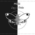 Moth - Espejos Rotos