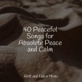 Baby Sweet Dream、Sleeping Baby Songs、Deep Sleep Systems - Deep in the Woods