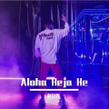 Aloha Heja He (DJ越鼓版)