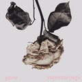 Supreme Papi、Gene - Sola