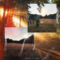 LEVEL - Sunshine On My Mind