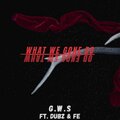 G.W.S、Dubz、Fe - What We Gone Do (Explicit)