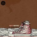 Brett Newski - Dirt