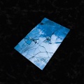 Death Lens、Bryan Torres、Jhon Reyes、Richard Diaz、Matt Silva、Eduardo Contreras - Corridor
