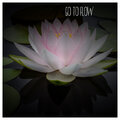 Go To Flow