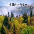 张士娟 - 美丽的小兴安岭 (remix: 张士娟)