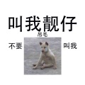 DJ贺少 - 捉泥鳅 (DJ贺少 remix)